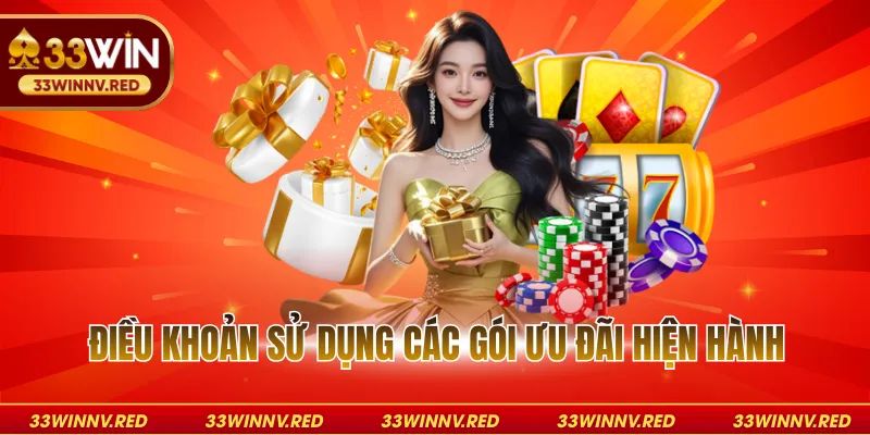 Điều khoản sử dụng các gói ưu đãi hiện hành