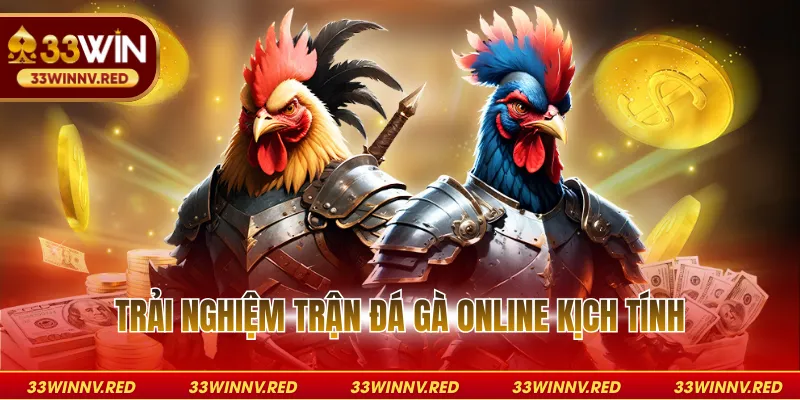 Trải nghiệm trận đá gà online kịch tính